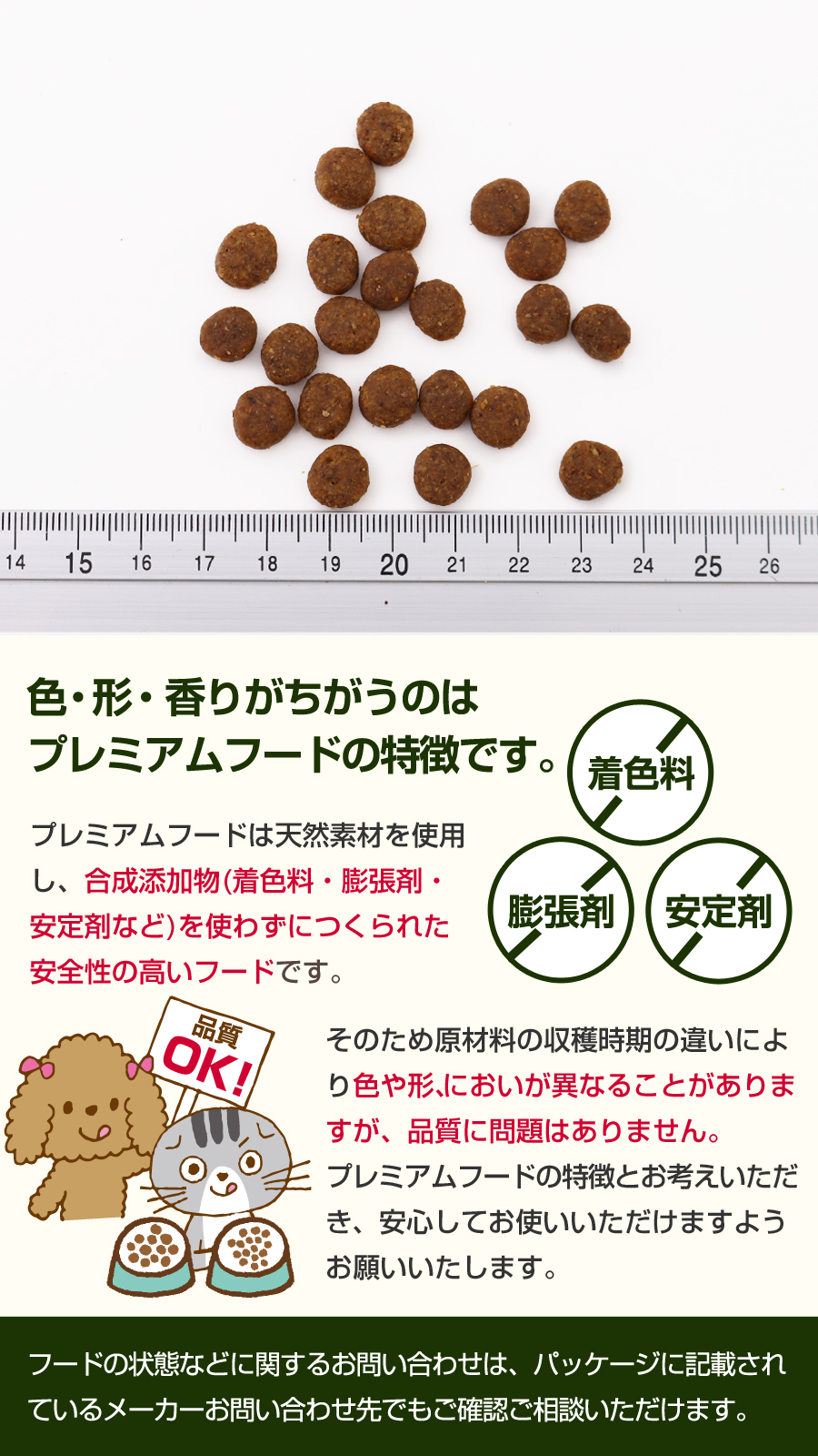 ウィッシュ (選べるプレゼント付き) サーモン 5.4kg wish ドッグフード