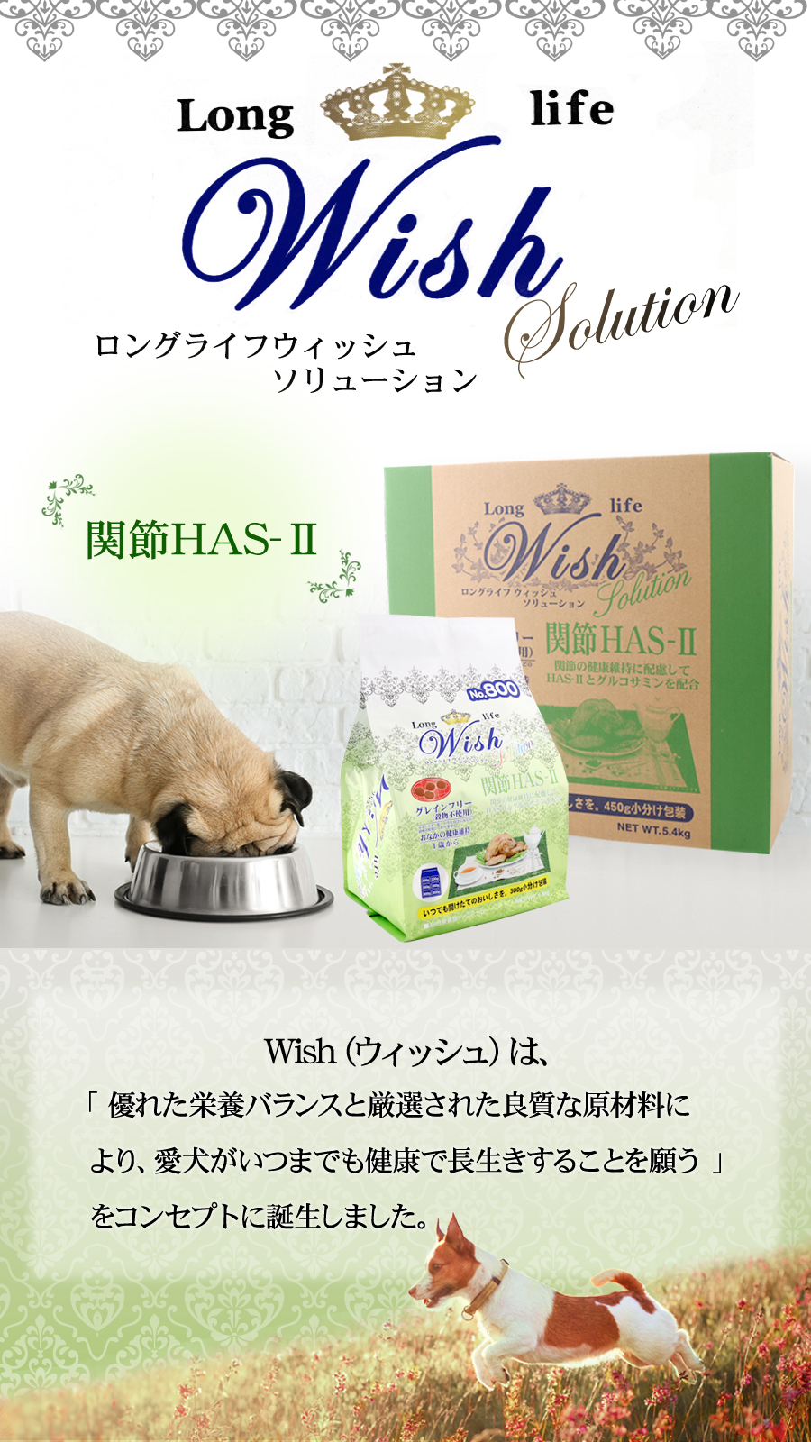ロングライフウィッシュソリューション（ドッグフード）｜犬用品