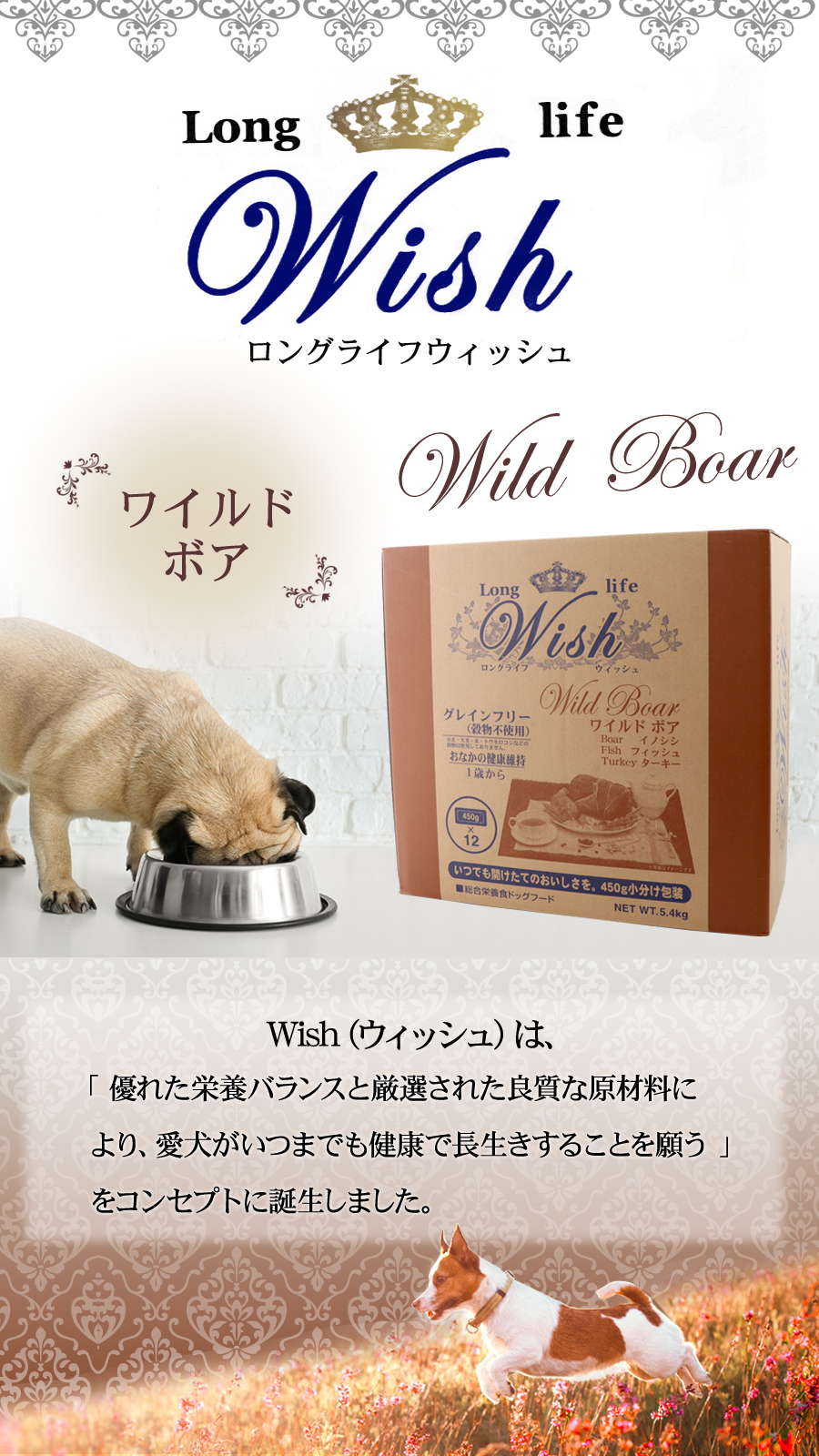 (選べるプレゼント付き)ウィッシュ ワイルドボア5.4kg wish ドッグフード  ドックフード 犬 グレインフリー 穀物不使用の画像