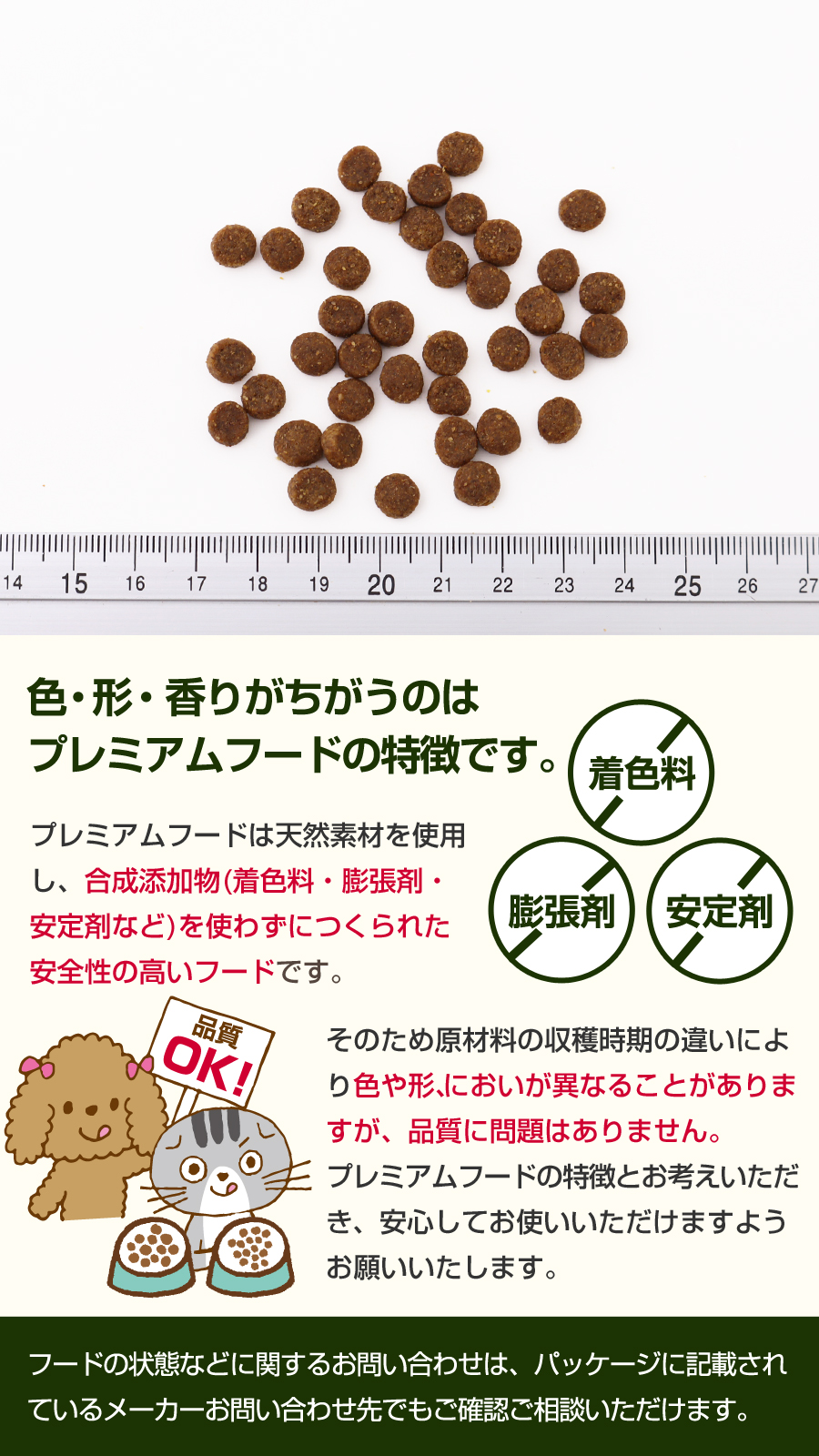 (選べるプレゼント付き)ウィッシュ ワイルドボア5.4kg wish ドッグフード  ドックフード 犬 グレインフリー 穀物不使用の画像