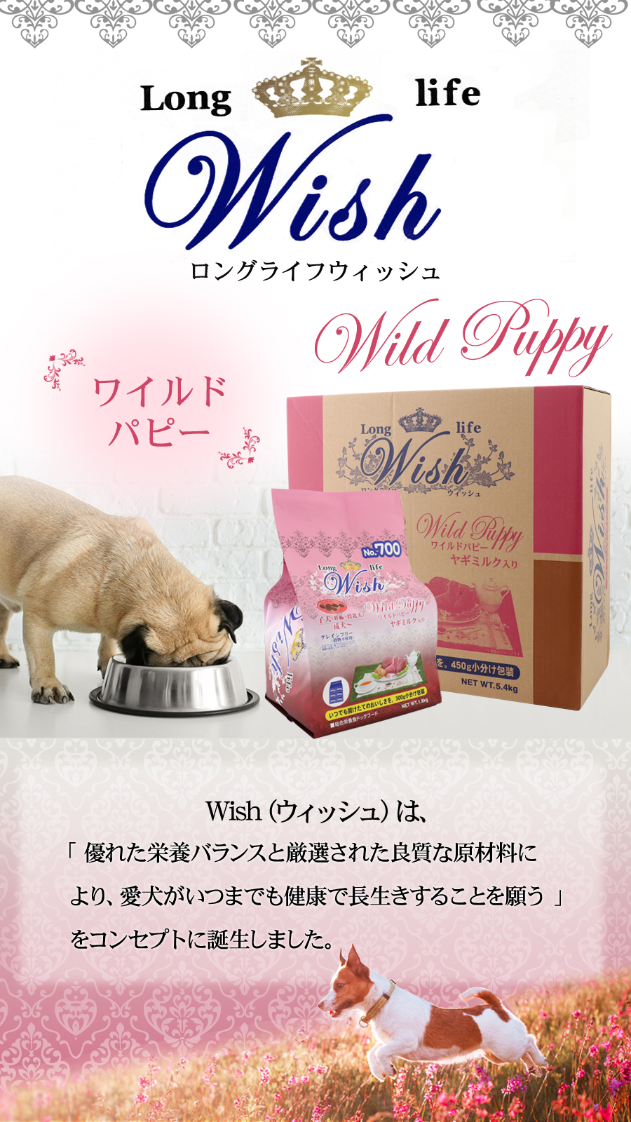 ウィッシュ (選べるプレゼント付き) ワイルドパピー1.8kg wish