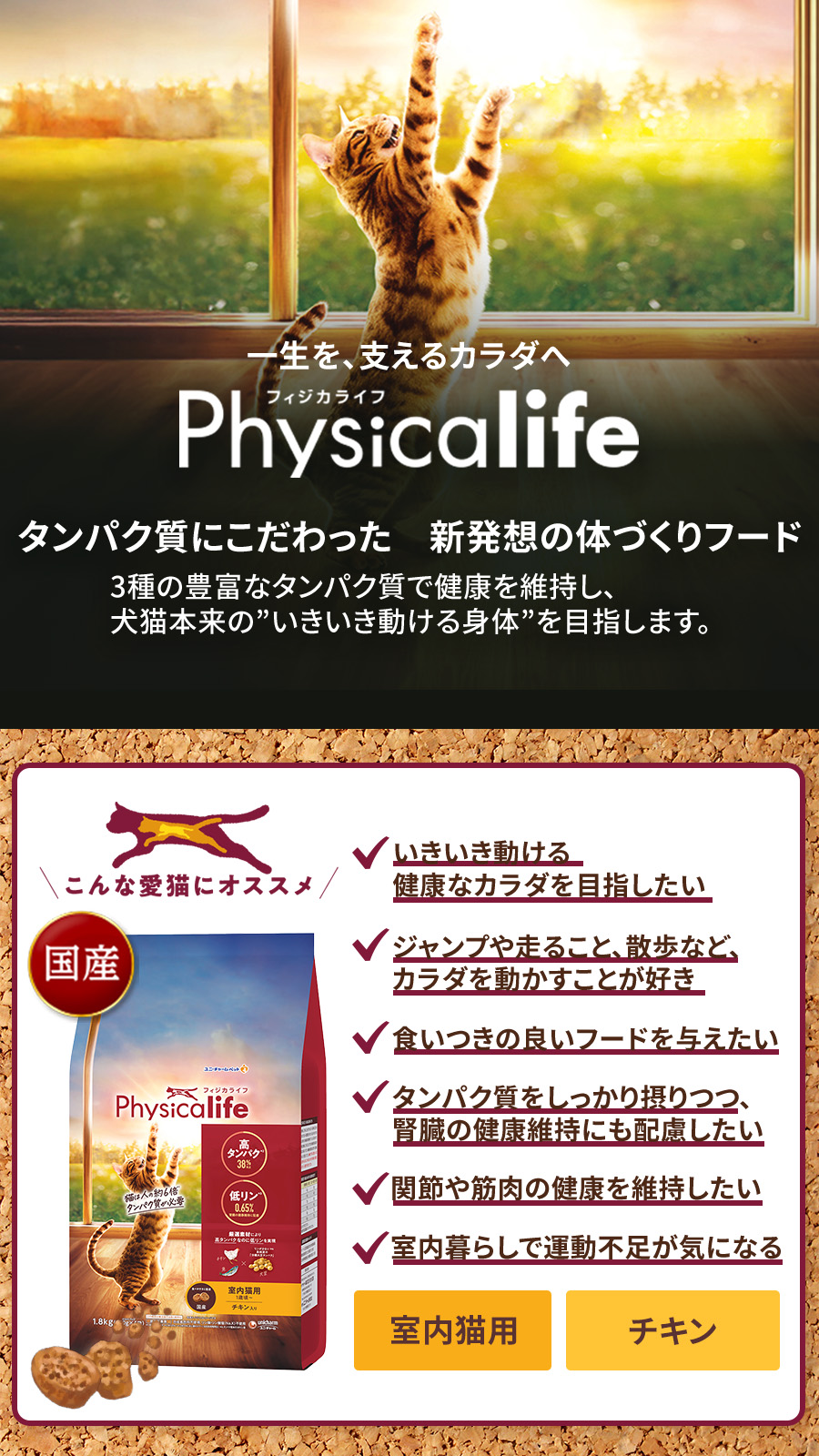 Physicalife ［パッケージ変更済］フィジカライフ (Physicalife) 室内