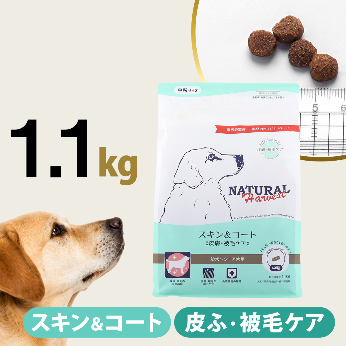 （順次パッケージ変更）ナチュラルハーベスト スキン＆コート 皮膚・被毛ケア 1.1kg 皮膚 被毛 スキン 毛艶 ドッグフード 犬 ドック ドックフード