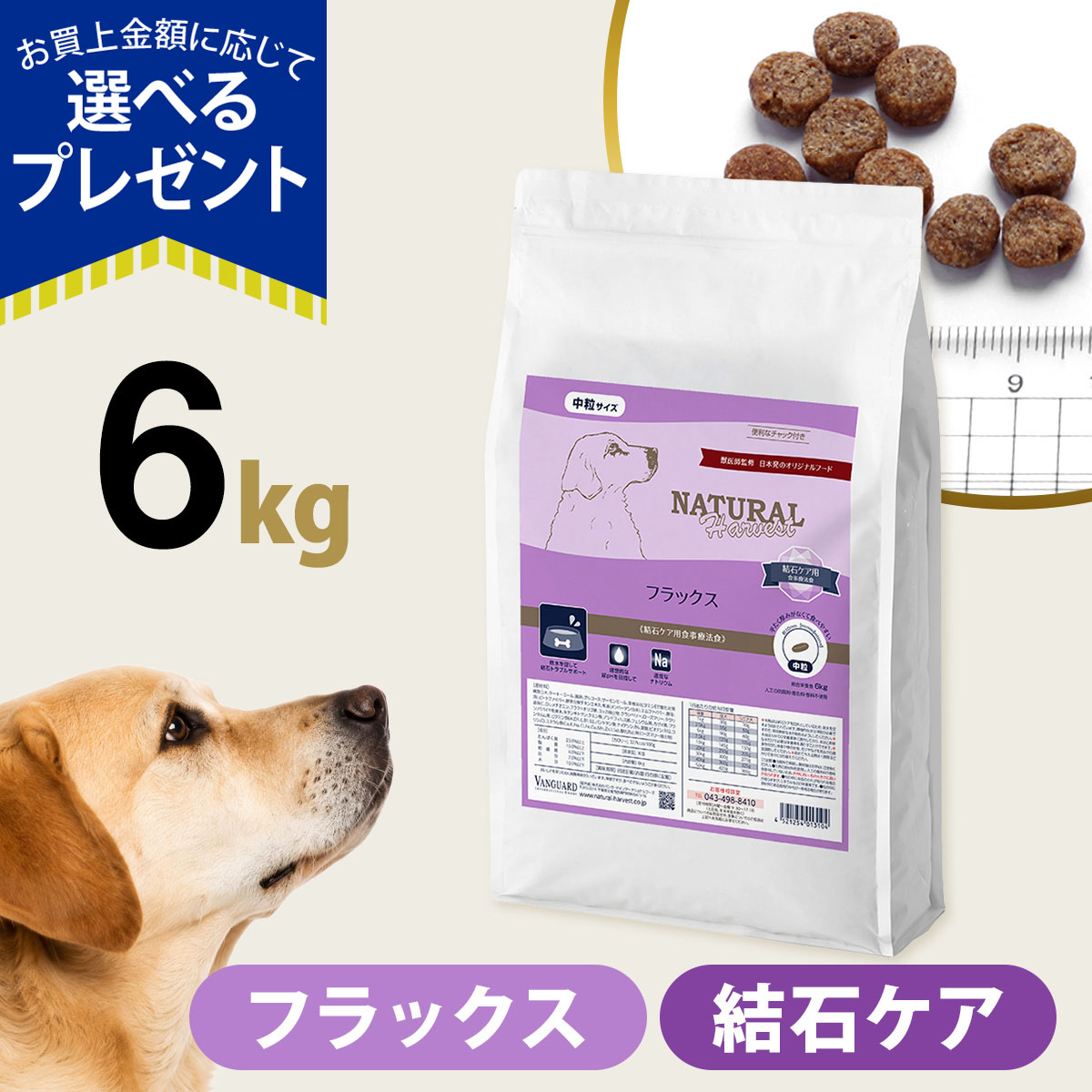 （順次パッケージ変更）(選べるプレゼント付き)ナチュラルハーベスト フラックス 結石ケア用 6kg ドッグフード 療法食 成犬 シニア犬 結石