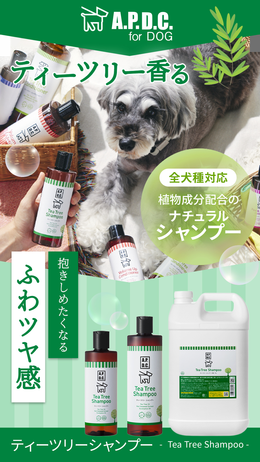 APDCティーツリーシャンプー