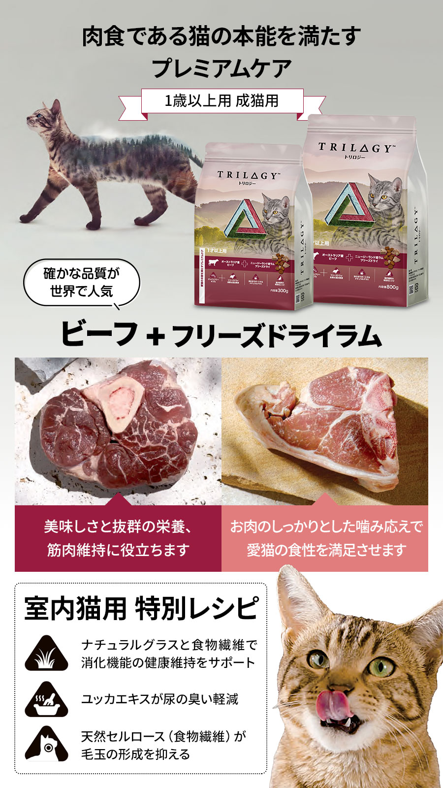 Trilogy トリロジー キャットフード ビーフ＋ラムフリーズドライ 1歳