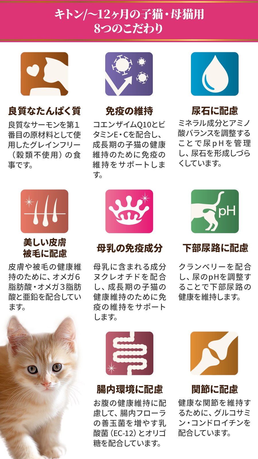 SELECT BALANCE セレクトバランス グレインフリー キャット キトン