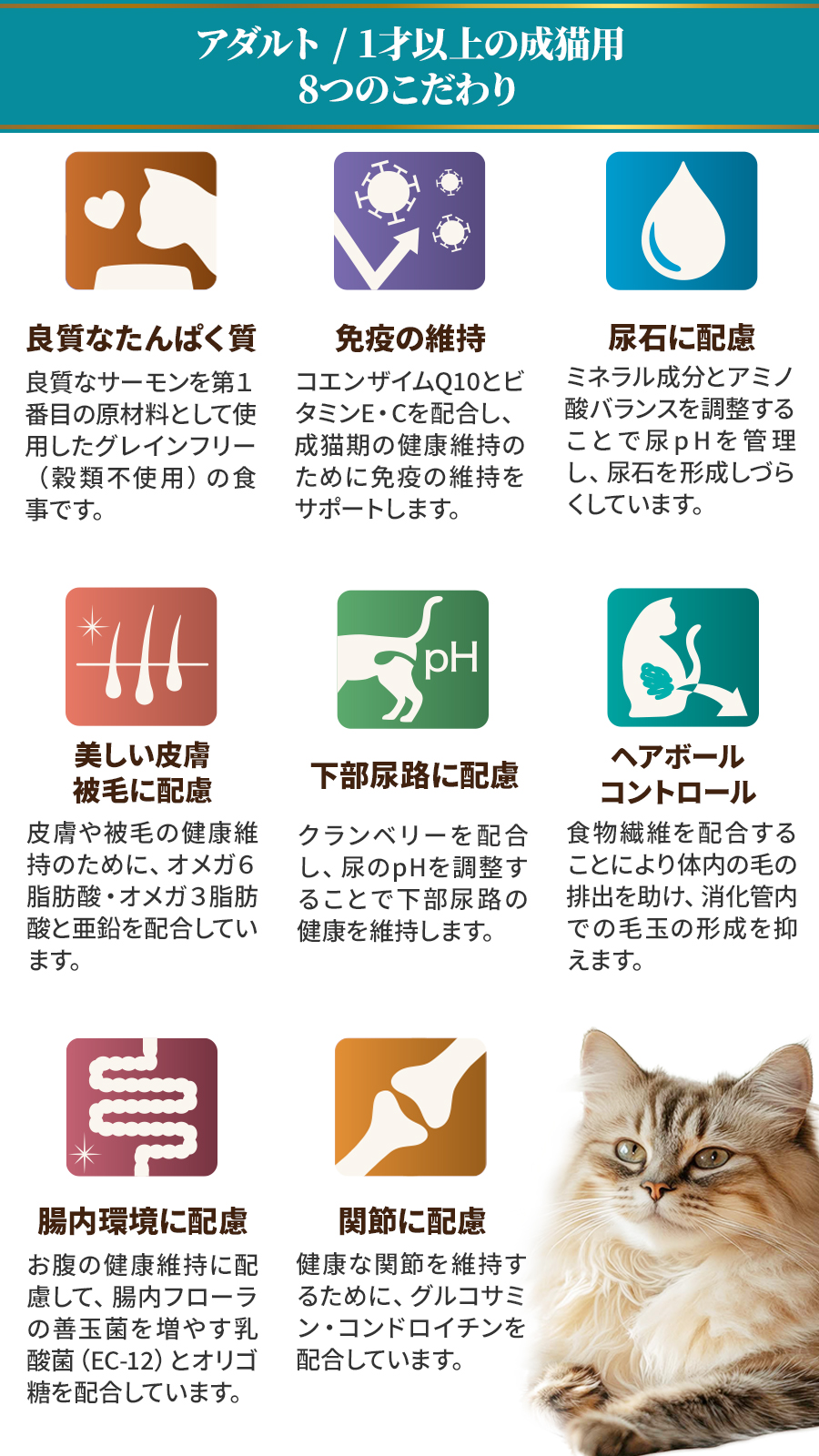 SELECT BALANCE セレクトバランス グレインフリー キャット アダルト