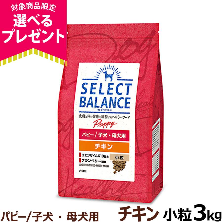 (2024年10月1日価格改定)【原材料等の表記変更済】セレクトバランス パピー チキン小粒 3kg 犬 ドッグフード 子犬 母犬ドライ 仔犬 授乳期 生後1才未満