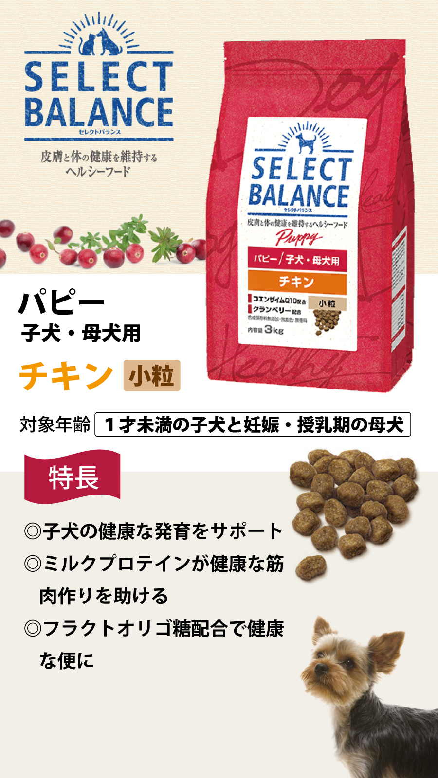 セレクトバランス パピー チキン 小粒 3kg+国産鹿デンタルボーン 1本入り | SELECT BALANCE | 02