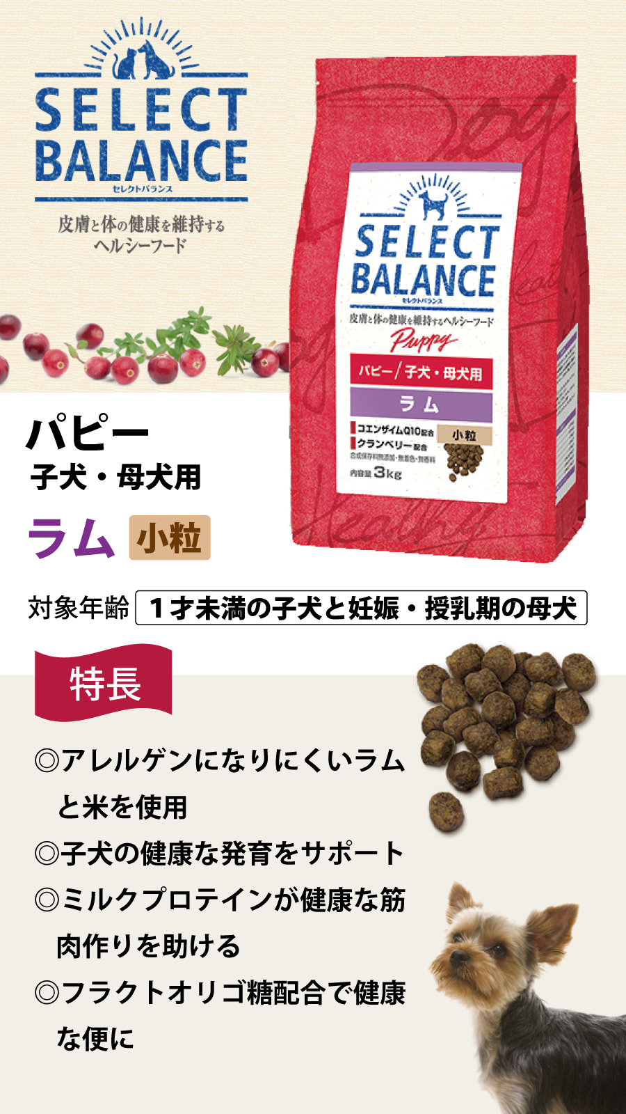 SELECT BALANCE パピーラム 3kg 2袋セット SELECT BALANCE セレクトバランス パピー ラム小粒3kg×2個+