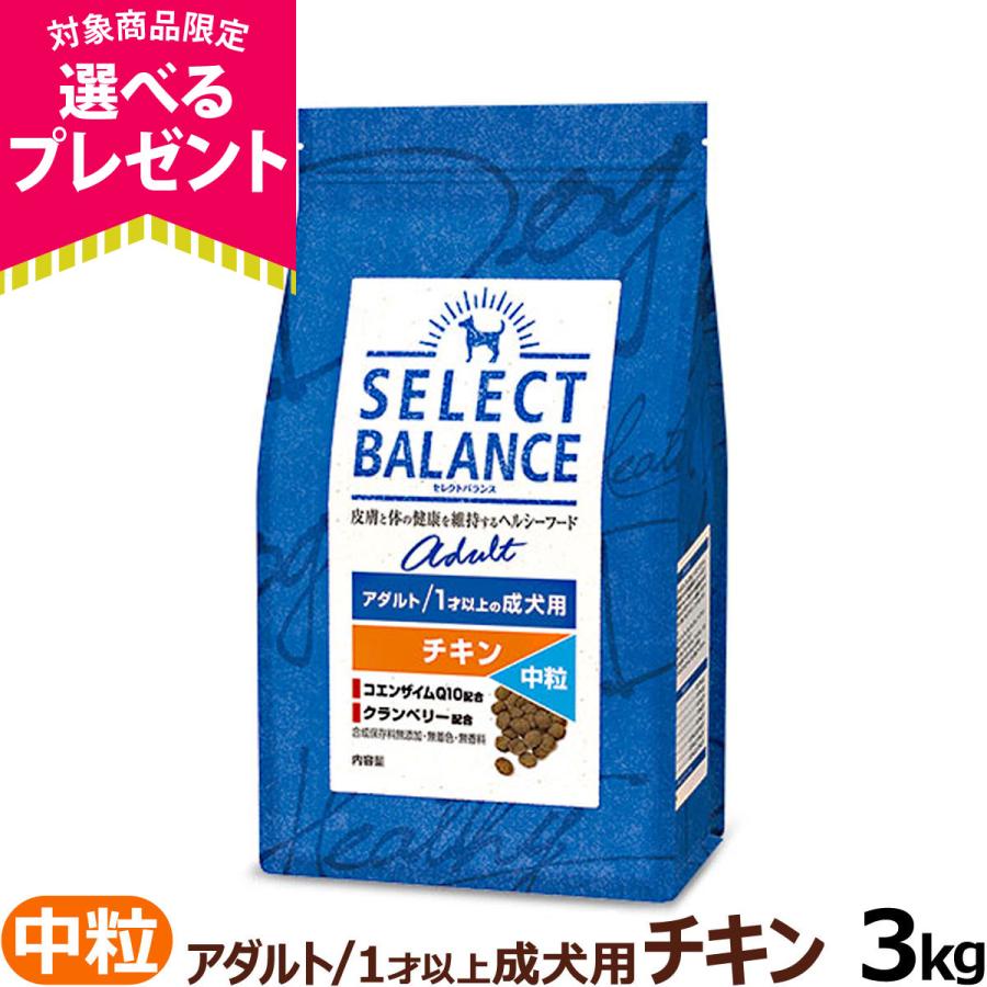 (選べるプレゼント付き)セレクトバランス アダルト チキン 中粒3kg 成犬 １才以上成犬 犬 ドッグフード ドック ペットフード | SELECT BALANCE