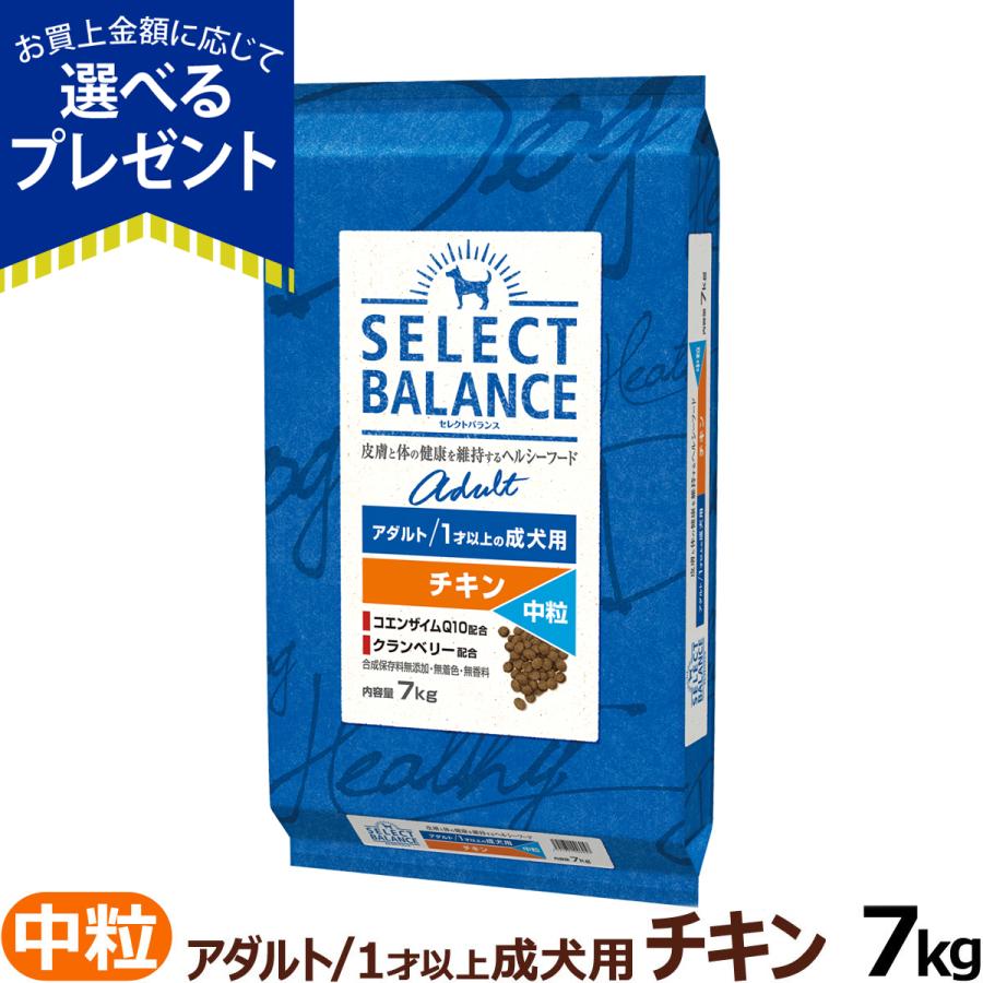 【順次、原材料等の表記変更】セレクトバランス アダルト チキン 中粒7kg 成犬 １才以上成犬 犬 ドッグフード ドライ｜dogparadise