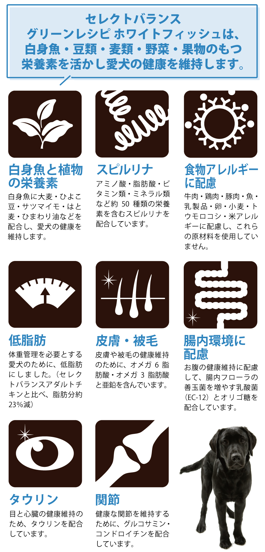 Amazon.co.jp: セレクトバランス グリーンレシピ ホワイト