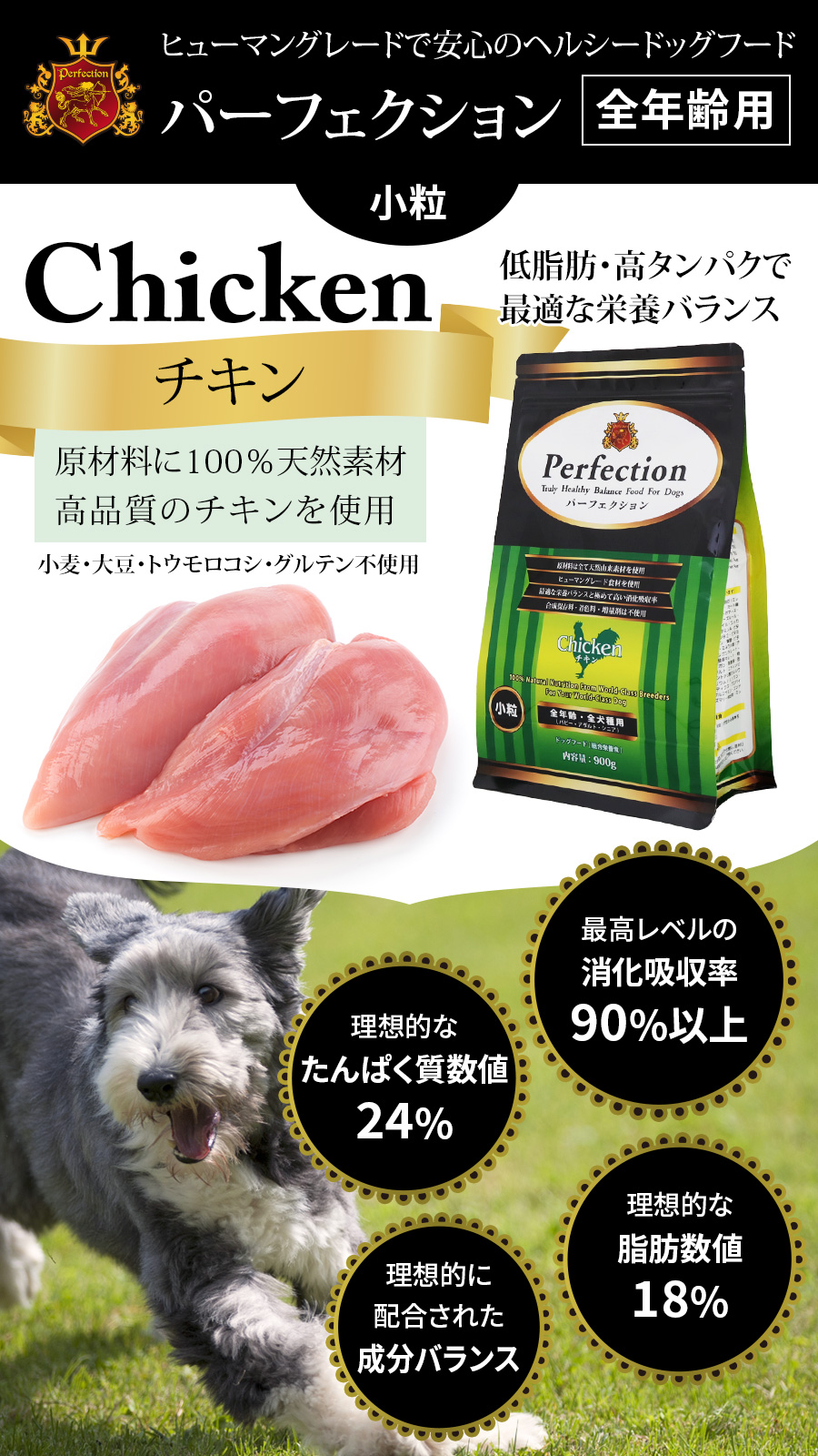 Perfection（パーフェクション） (選べるプレゼント付き) ドッグフード