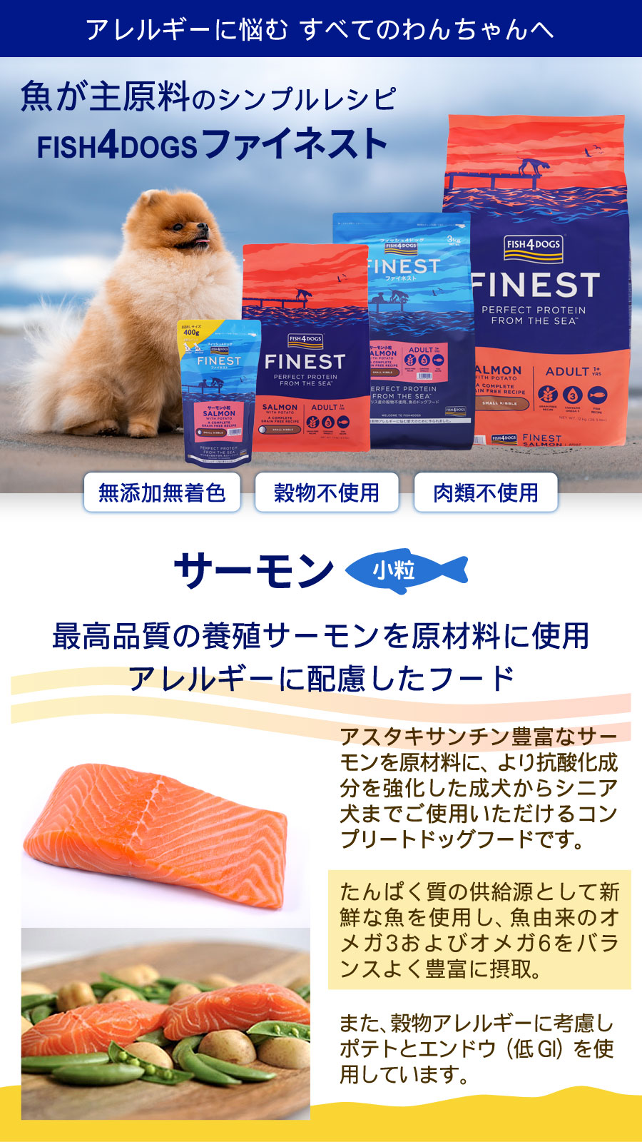 フィッシュ4 (選べるプレゼント付き)フィッシュ4ドッグ ファイ