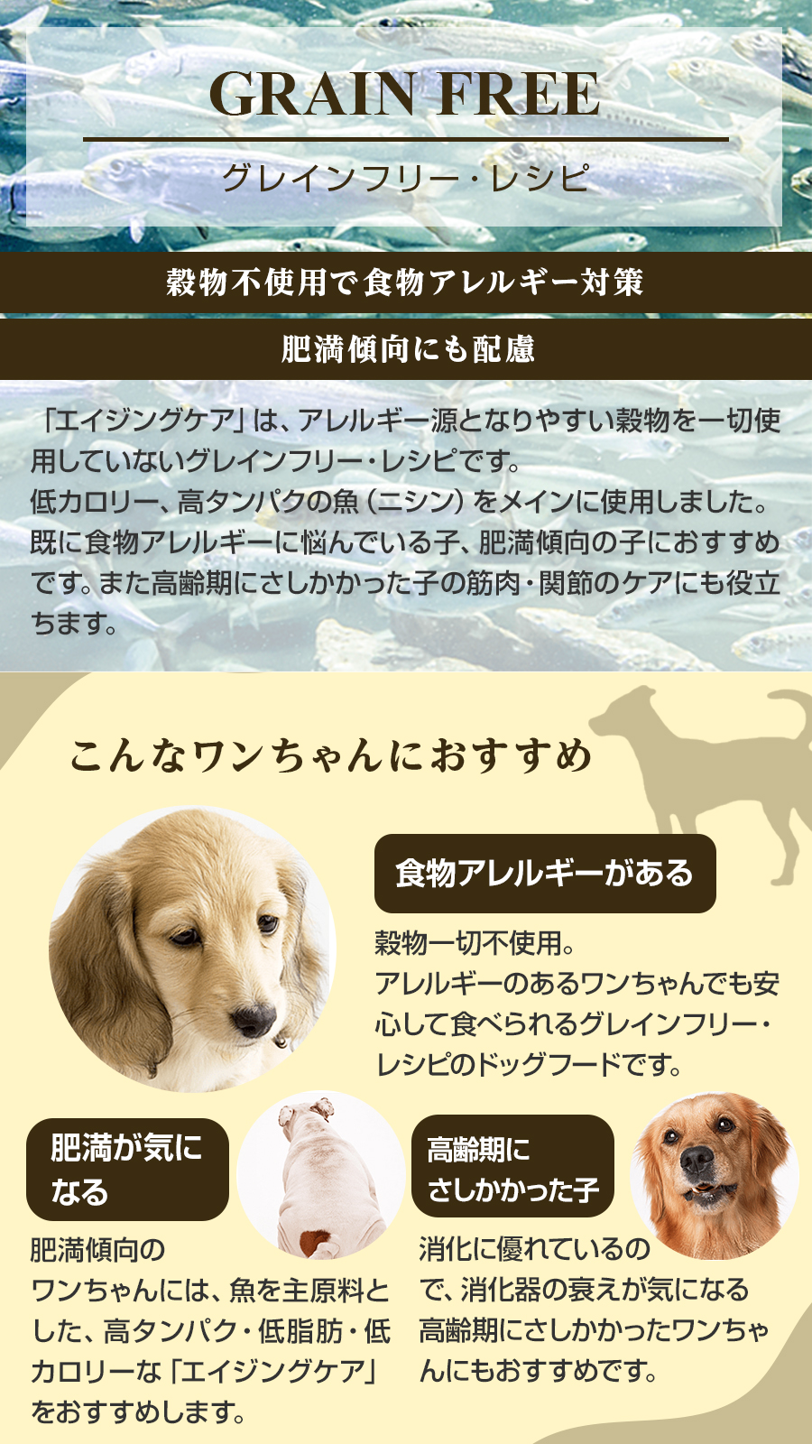 (選べるプレゼント付き)ネイチャーズテイスト エイジングケア フィッシュ 成犬〜シニア 3kg | ネイチャーズテイスト | 02