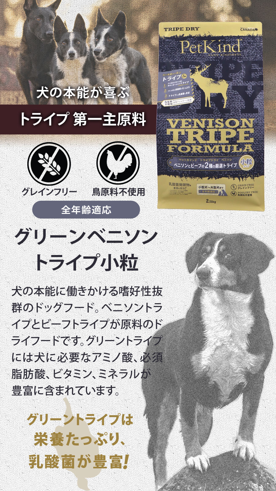 ペットカインド トライプドライ グリーンベニソントライプ 小粒 907g犬 