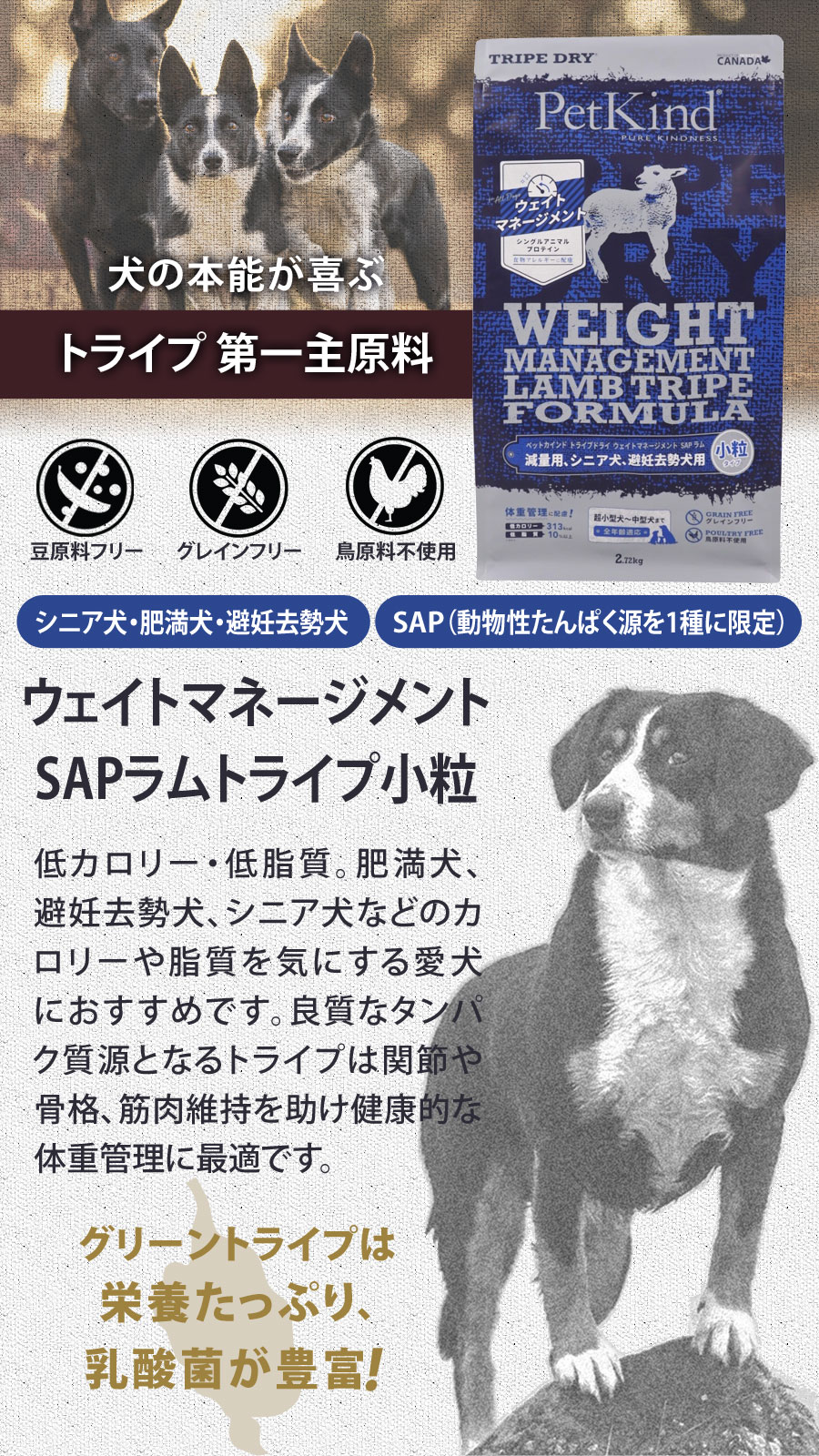 選べるプレゼント付き)ペットカインド トライプドライ ウェイト