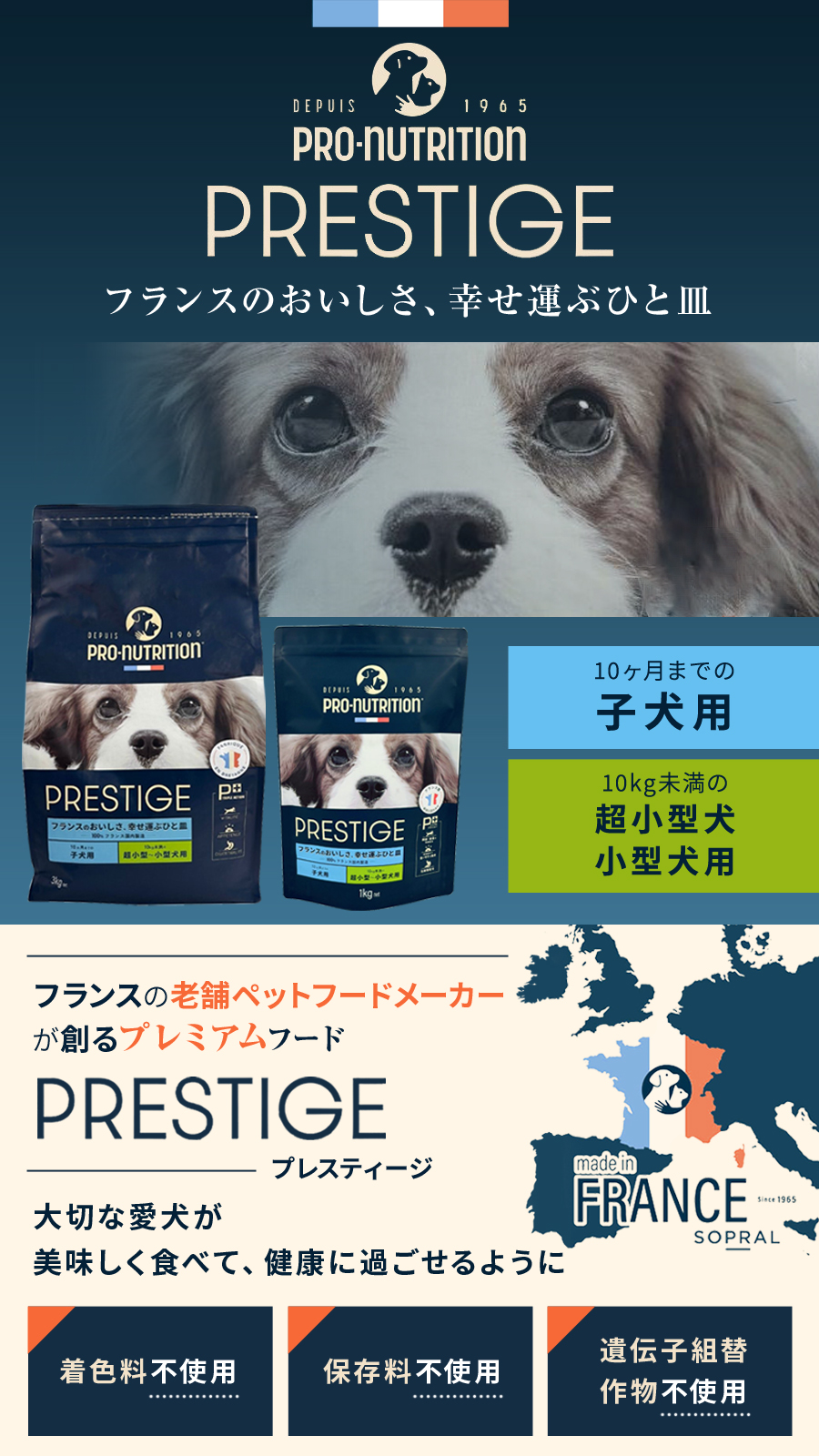 プレスティージ 犬用 パピー 小粒 1kg ドッグフード 鶏 豚 七面鳥