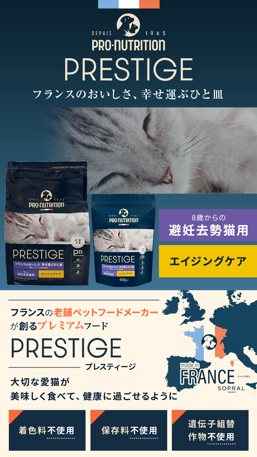100％正規品WILD CUTIE キャットフード 4個セット 100％正規品WILD CUTIE キャットフード 4個セット（楽天市場