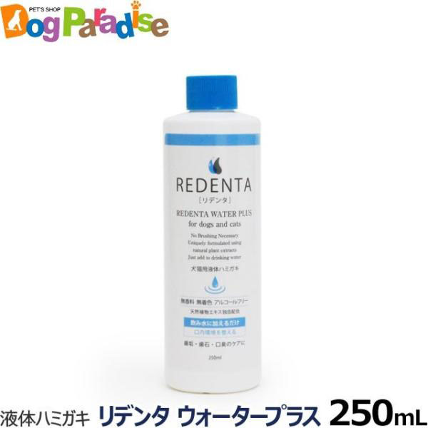 f^EH[^[vX ReDenta Lt̃n~KL 250ml f^PA ݂͂ t̎ C  LPA