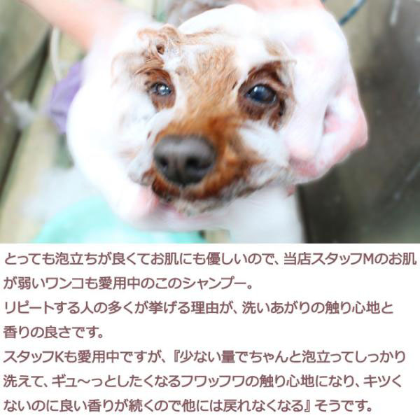 ライフラインシリーズ犬猫用シャンプーセラミドシャンプー300ml ライフライン】 新 薬用セラミドシャンプー 高濃度セラミド配合