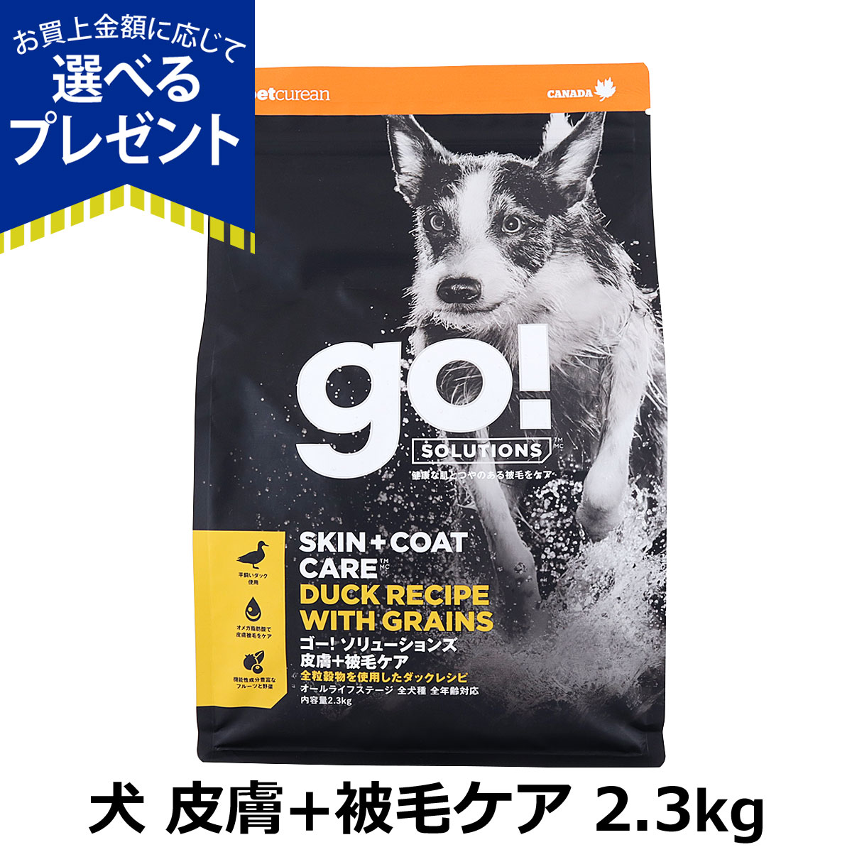 (選べるプレゼント付き)GO! ゴー ソリューションズ 皮膚+被毛ケア ダック 2.3kg 犬 ドッグ フード ドック鴨 オメガ脂肪酸