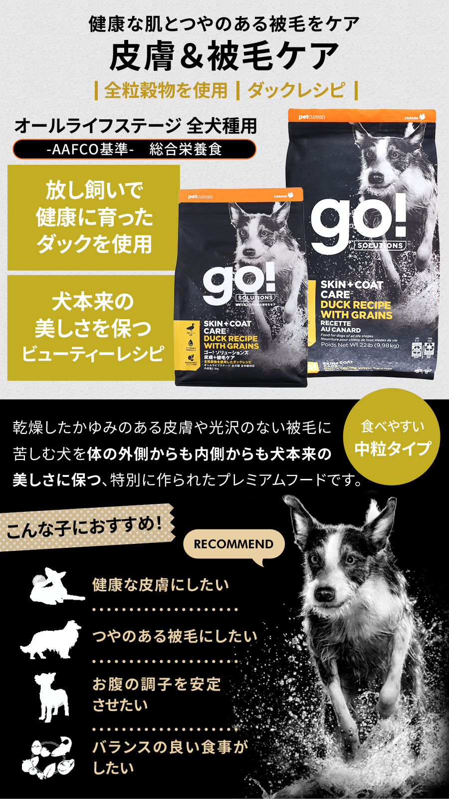 GO! ゴー 皮膚+被毛ケア ダック 2.3kg+わんわんウエットてぃっ
