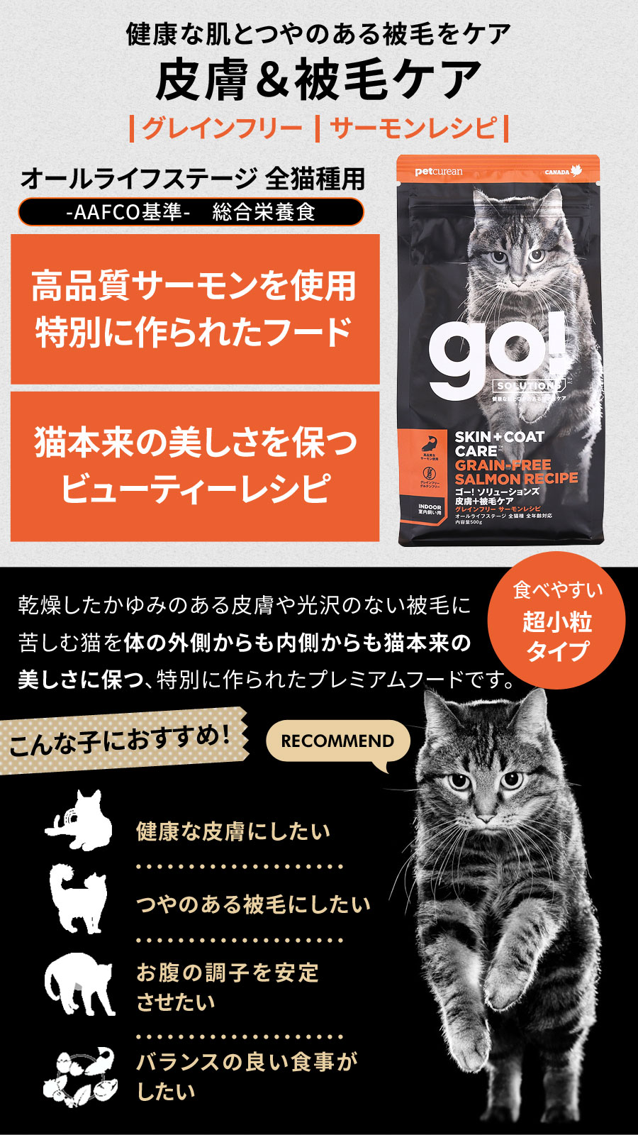 GO! ゴー キャット 皮膚+被毛ケア サーモン 500g×3袋＋国産鹿肉ジャーキー(お試しサイズ) 猫 ドライ グレインフリー 下部尿路 |  | 02