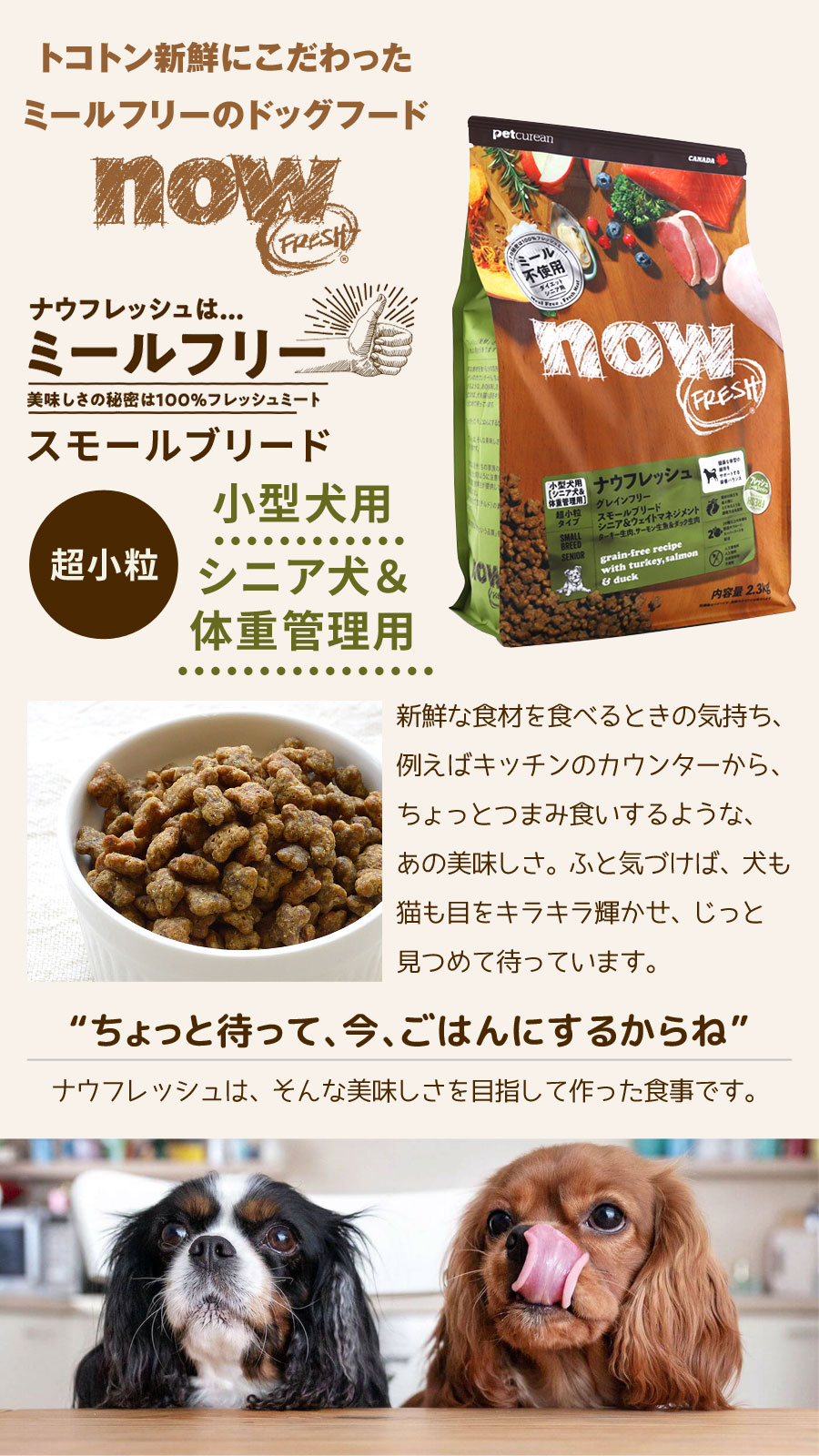 NOW FRESH (選べるプレゼント付き)ナウフレッシュ グレイン