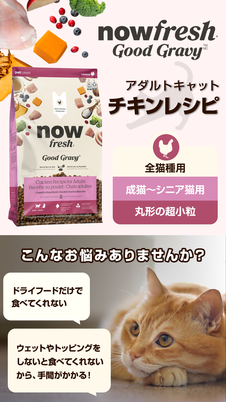 NOW FRESH (選べるプレゼント付き)ナウフレッシュ グッドグレービー