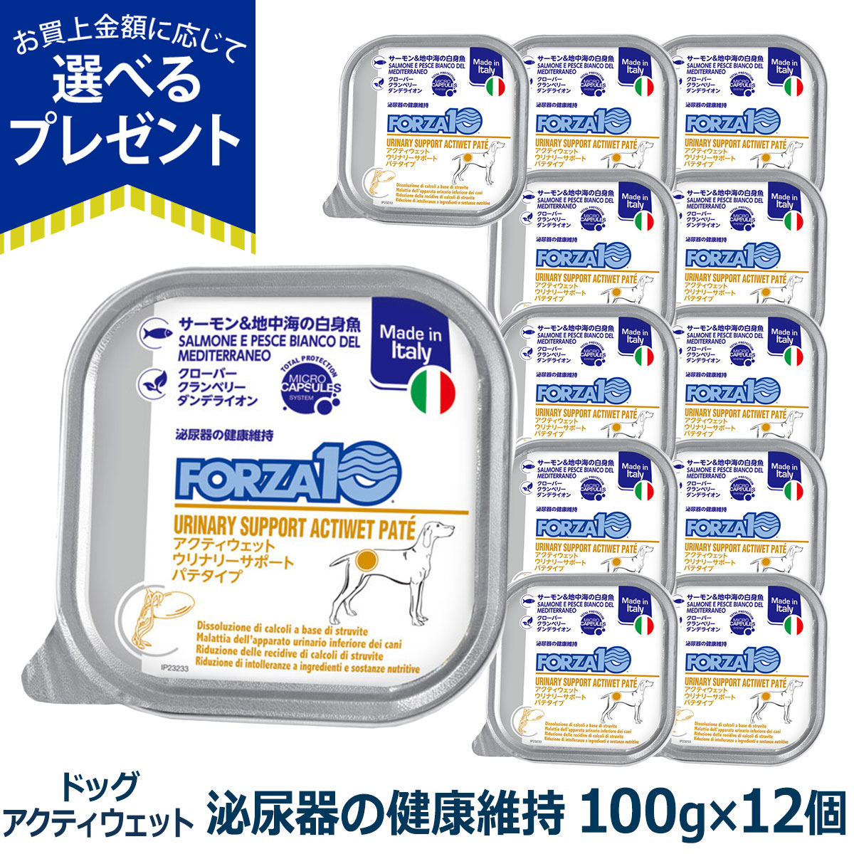 FORZA10（フォルツァディエチ） (選べるプレゼント付き)フォルツァ10 