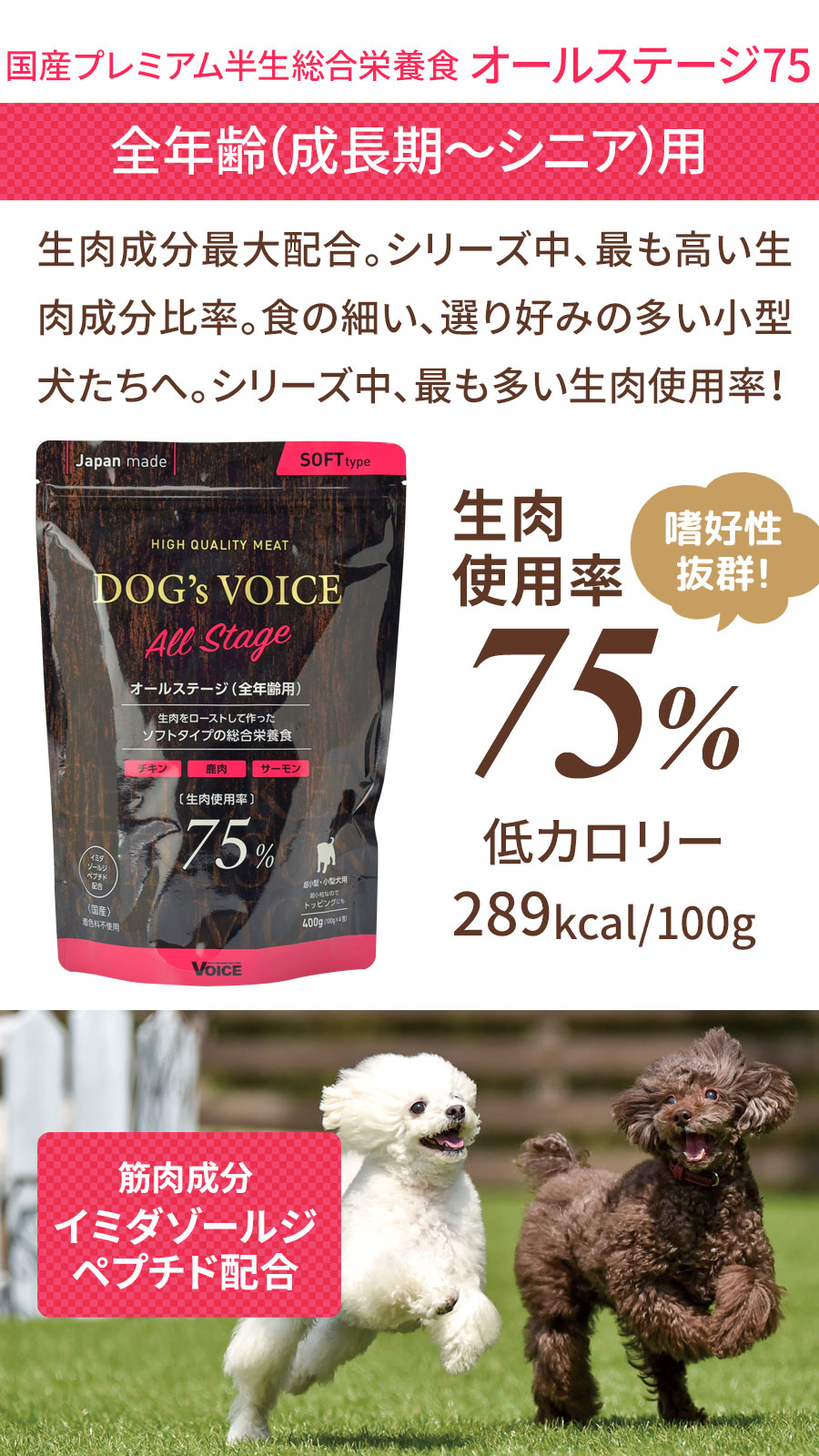DOG'S VOICE Senior 400g セミモイストフード　3袋 DOG'S VOICE Senior 400g セミモイストフード 3袋 ヴォイス