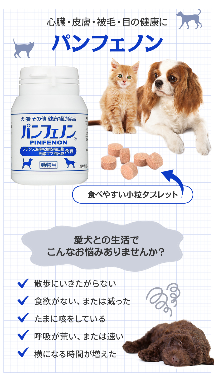 パンフェノン (選べるプレゼント付き)パンフェノン120粒 サプリ 犬 猫