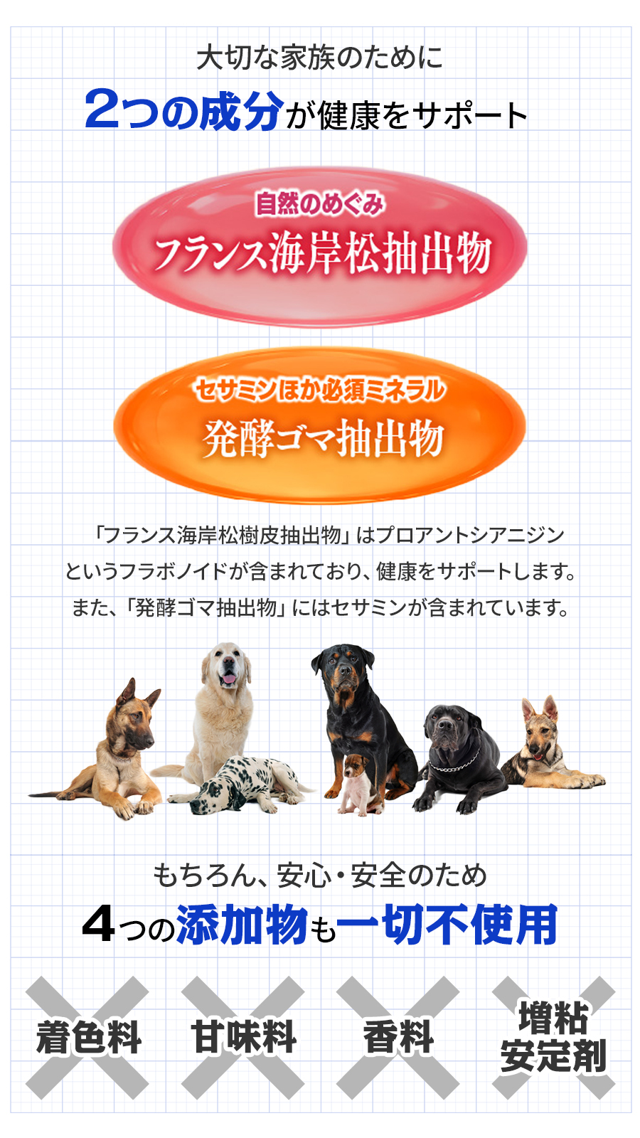 パンフェノン (選べるプレゼント付き)パンフェノン120粒 サプリ 犬 猫