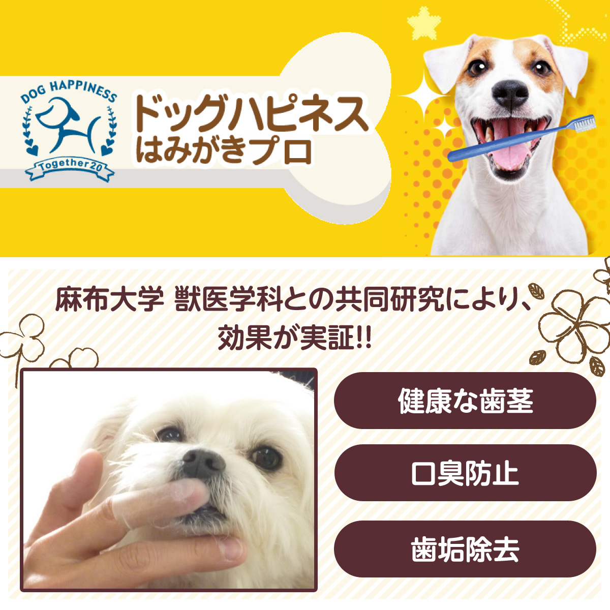 ドッグハピネス はみがきプロ 45g