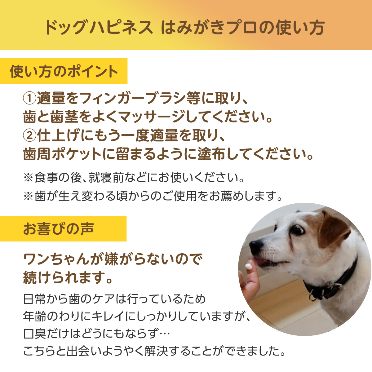 ドッグハピネス はみがきプロ 45g