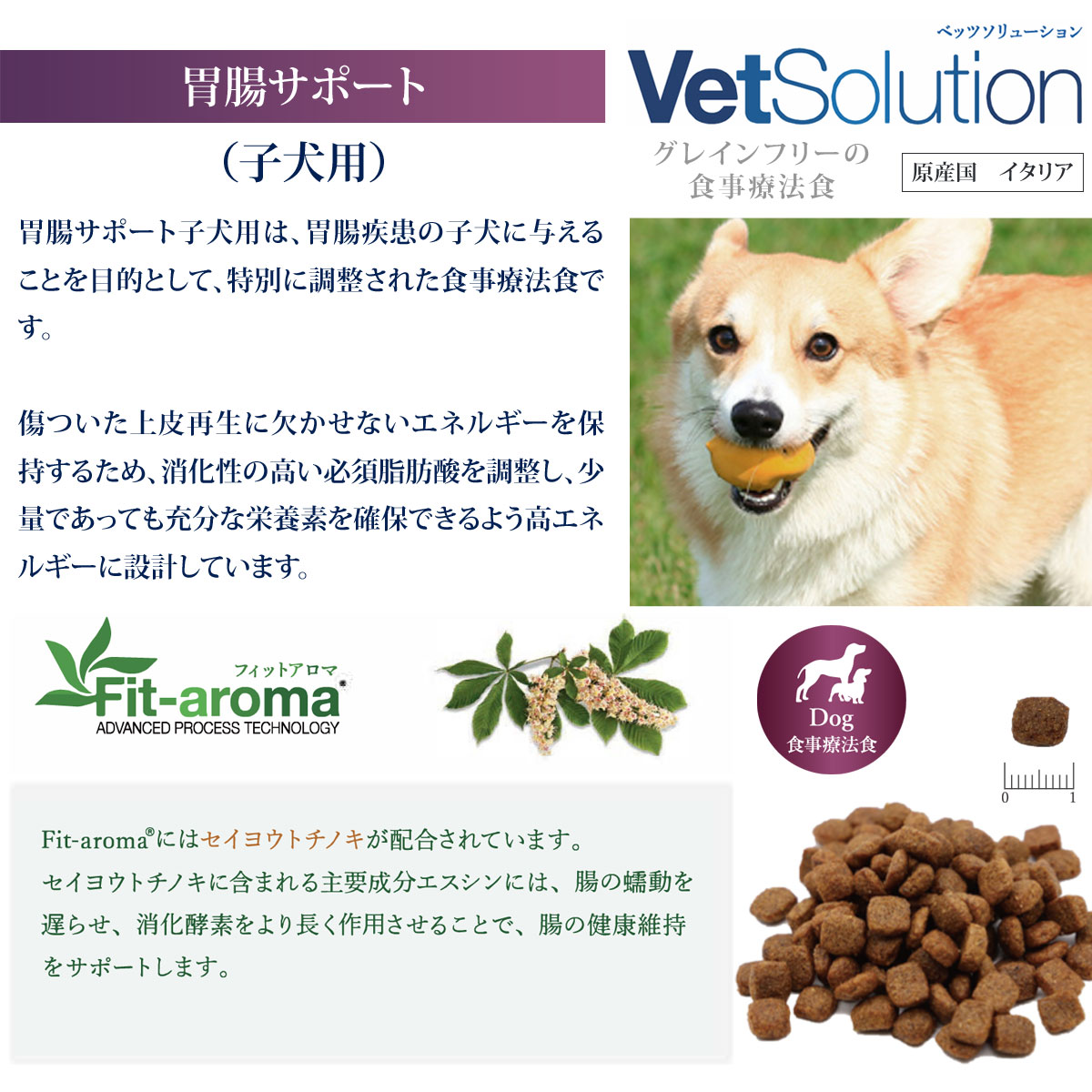 (2024年8月1日価格改定)ベッツソリューション 胃腸サポート 子犬用 800g【正規品】 犬 ドッグフード 療法食 パピー 子犬 胃腸 消化 グレインフリー｜dogparadise｜02