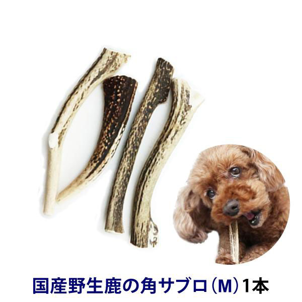 『風の鹿の角』　✴︎おまとめ✴︎犬のおもちゃ　鹿 Amazon | 鹿角さん 鹿の角 犬 用 おもちゃ 小型犬用 四つ割り 1