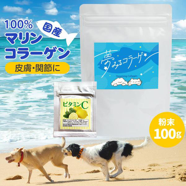 こちらは専用です 他の方は購入ご遠慮ください アニクリル 犬用サプリメント 初回購入特典】60日スターターキット（犬用サプリメント