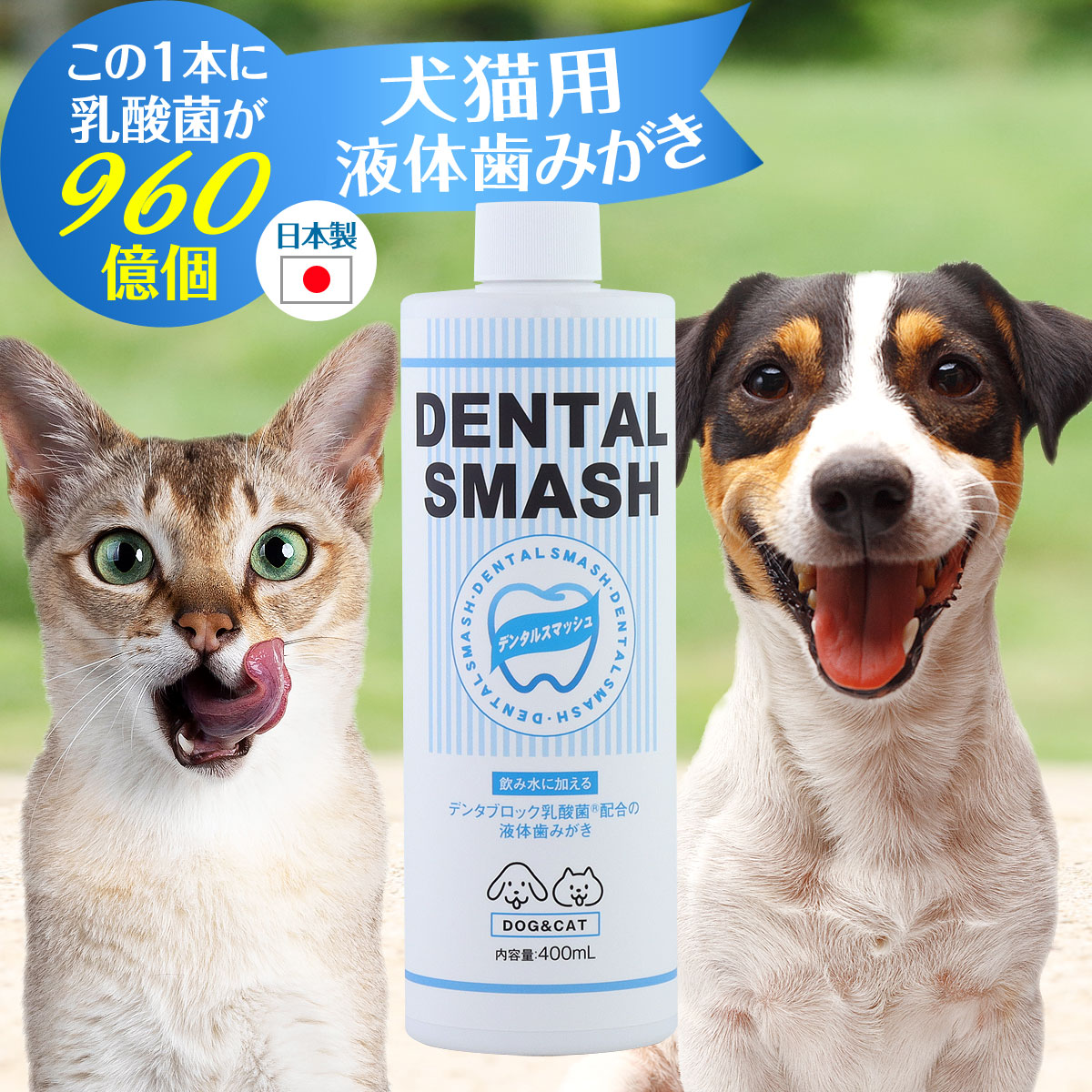 犬 歯磨き 液体」の人気商品一覧 | 安い商品を通販サイトから