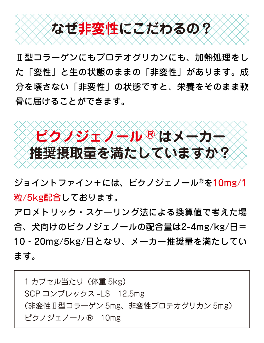 犬 猫 関節 サプリメント ジョイントファイン＋（プラス） 60粒 ピクノジェノール 追跡可能メール便のみ送料無料（同梱不可）ペット サプリ 皮膚 | ジョイントファイン | 12