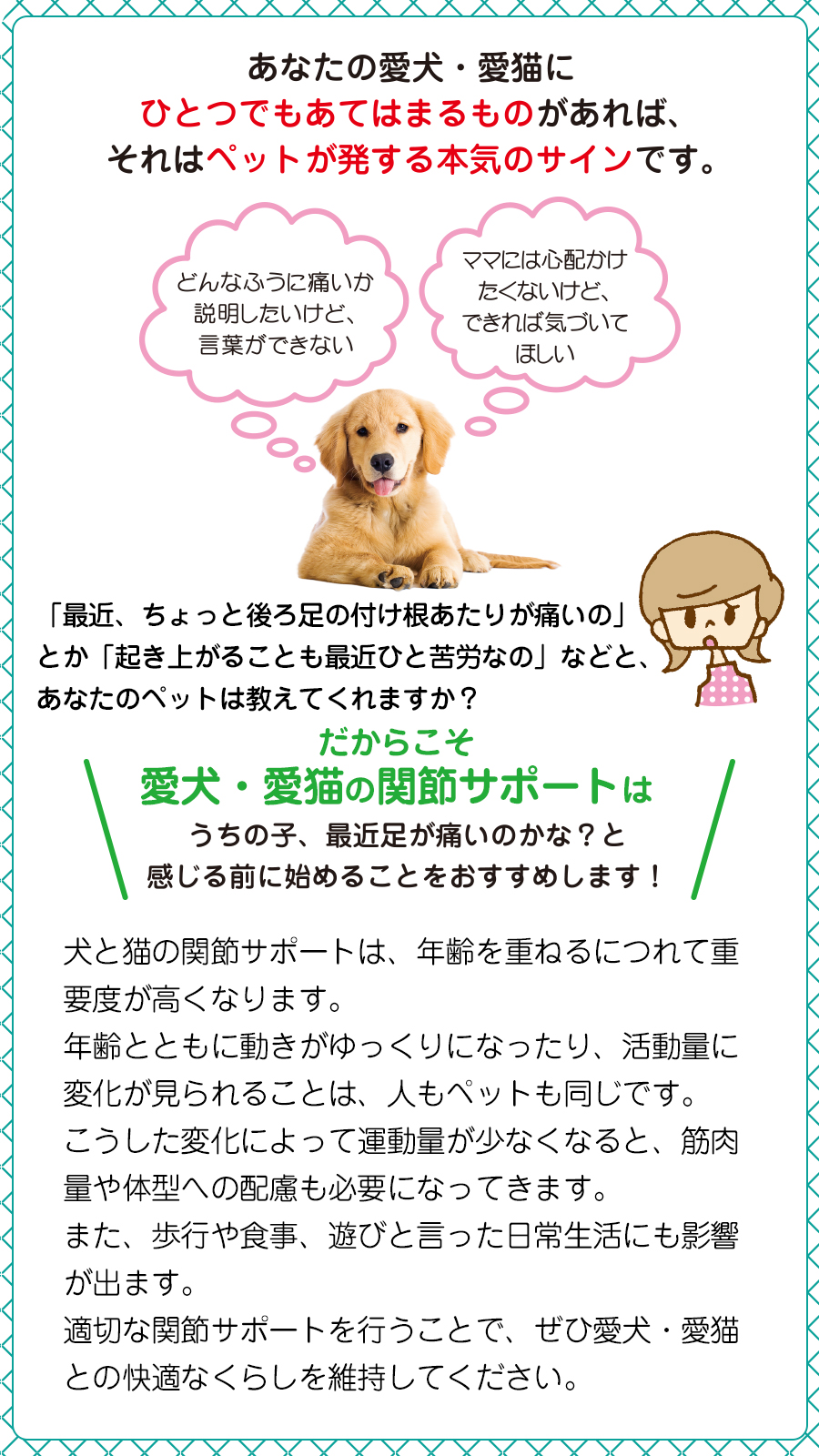 犬 猫 関節 サプリメント ジョイントファイン＋（プラス） 60粒 ピクノジェノール 追跡可能メール便のみ送料無料（同梱不可）ペット サプリ 皮膚 | ジョイントファイン | 04