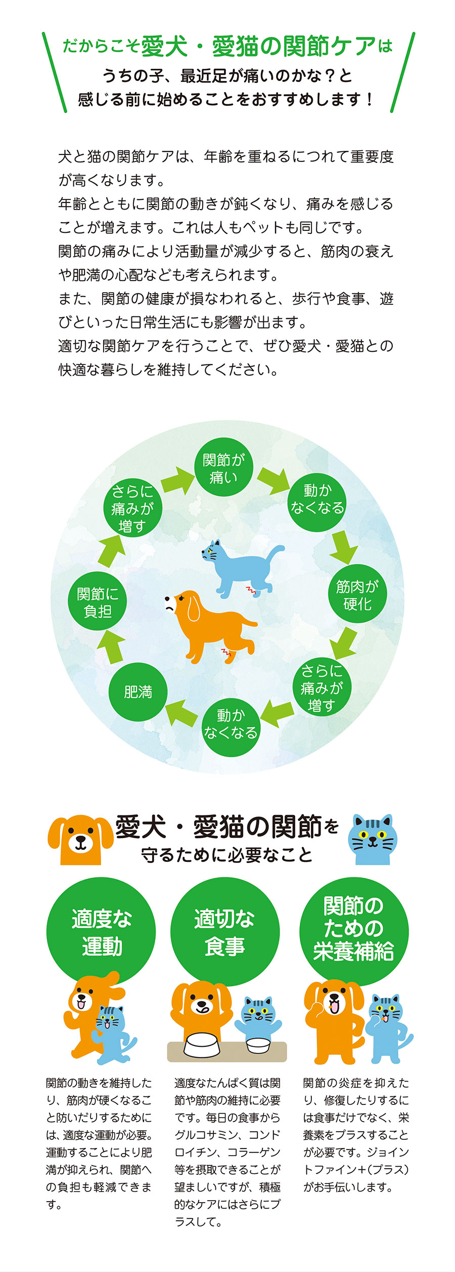 ジョイントファインプラス