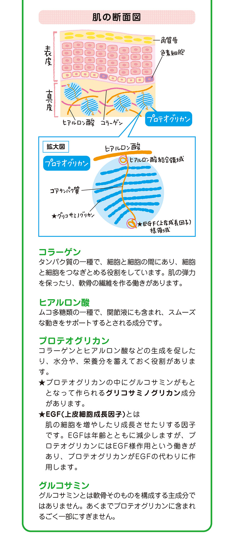 ジョイントファインプラス