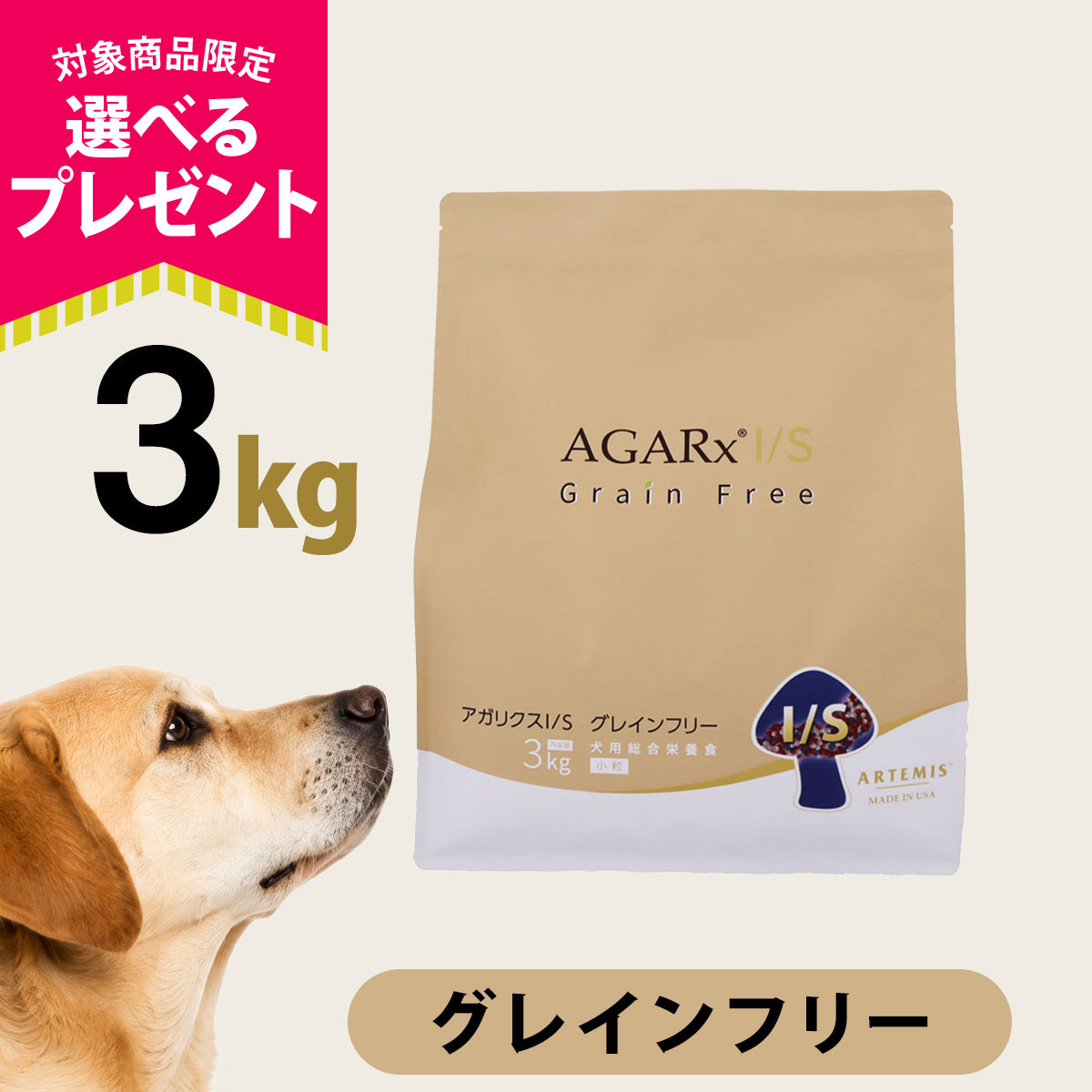 AGARx I/S (選べるプレゼント付き)アーテミス アガリクスI/S グレイン