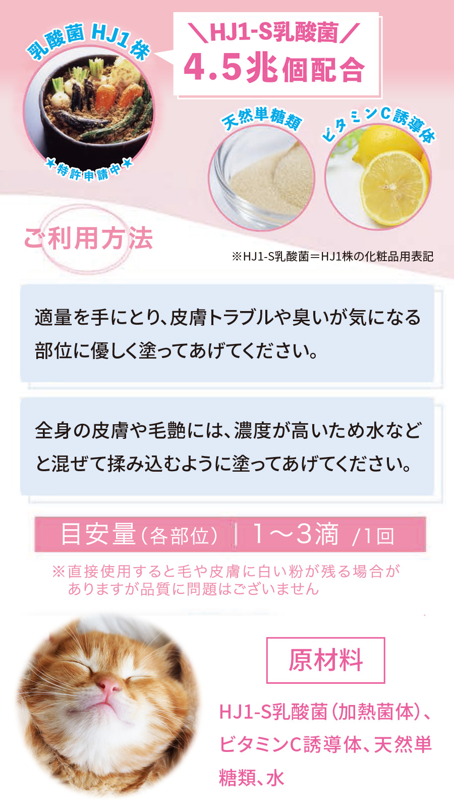 選べるプレゼント付き)乳酸菌H&JIN エイチジン バイオフローラ