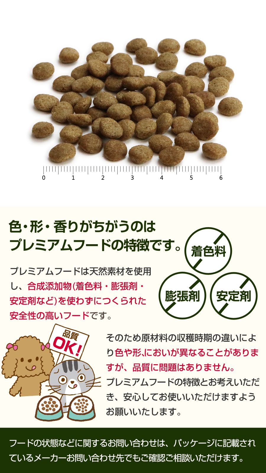 プロフェッショナル・バランス [2026年9月1日価格改定
