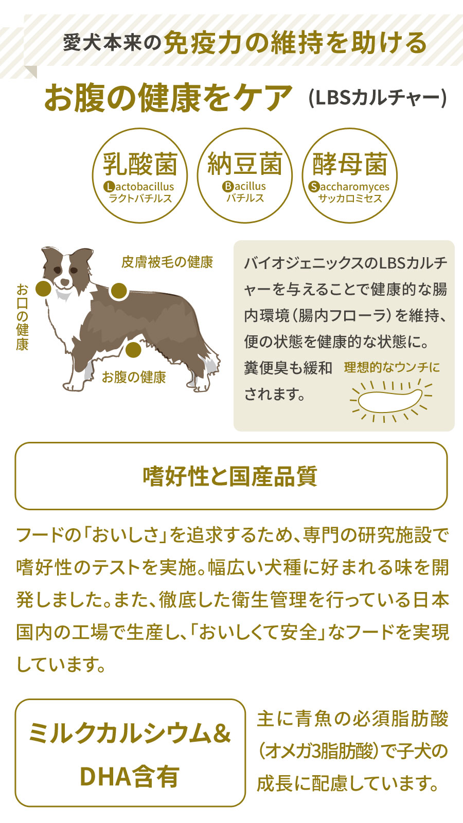プロフェッショナル・バランス プロフェッショナルバランス